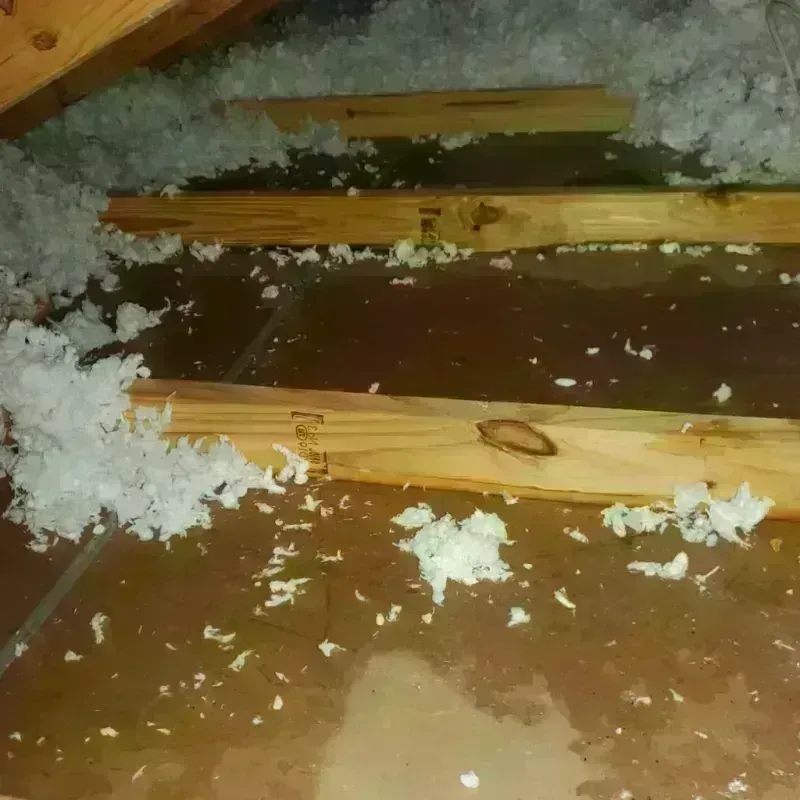 Attic Water Damage in Barneveld, WI