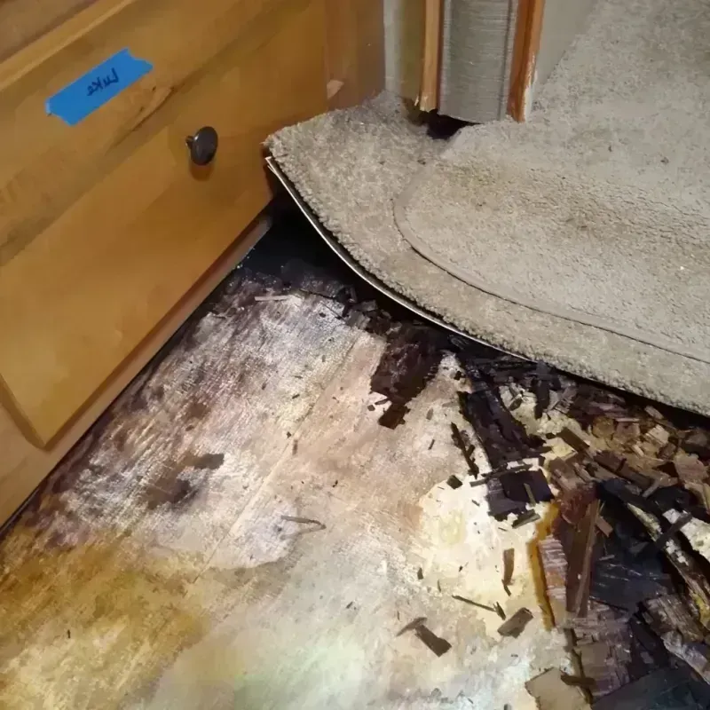 Best Wood Floor Water Damage Service in Barneveld, WI